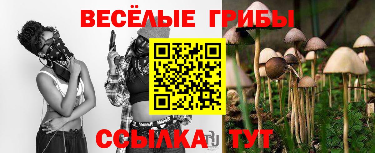 Галлюциногенные грибы Magic Shrooms Берёзовский