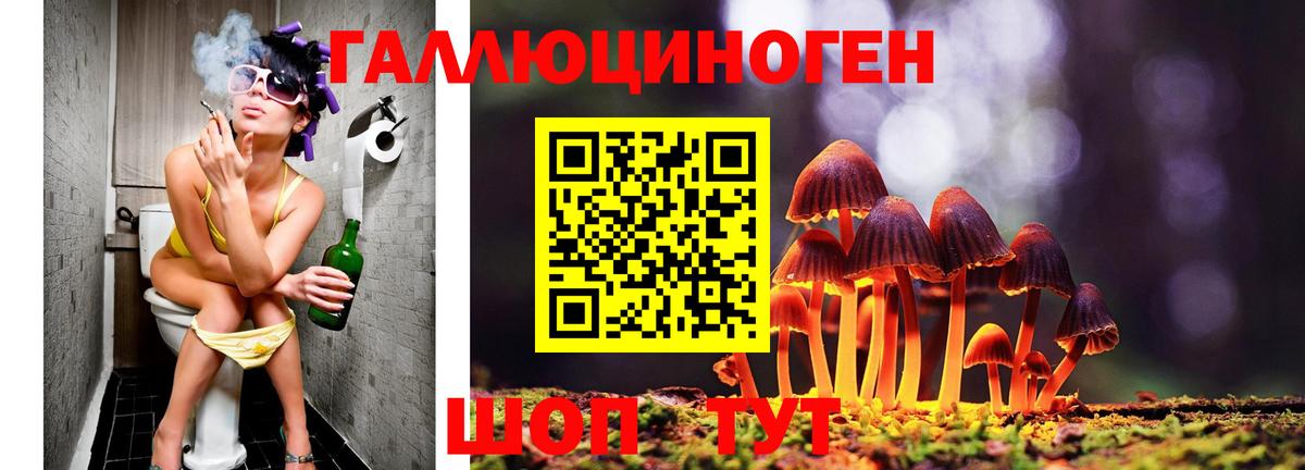 Берёзовский  Галлюциногенные грибы мицелий  Вход с VPN  Псилоцибиновые грибы мицелий 